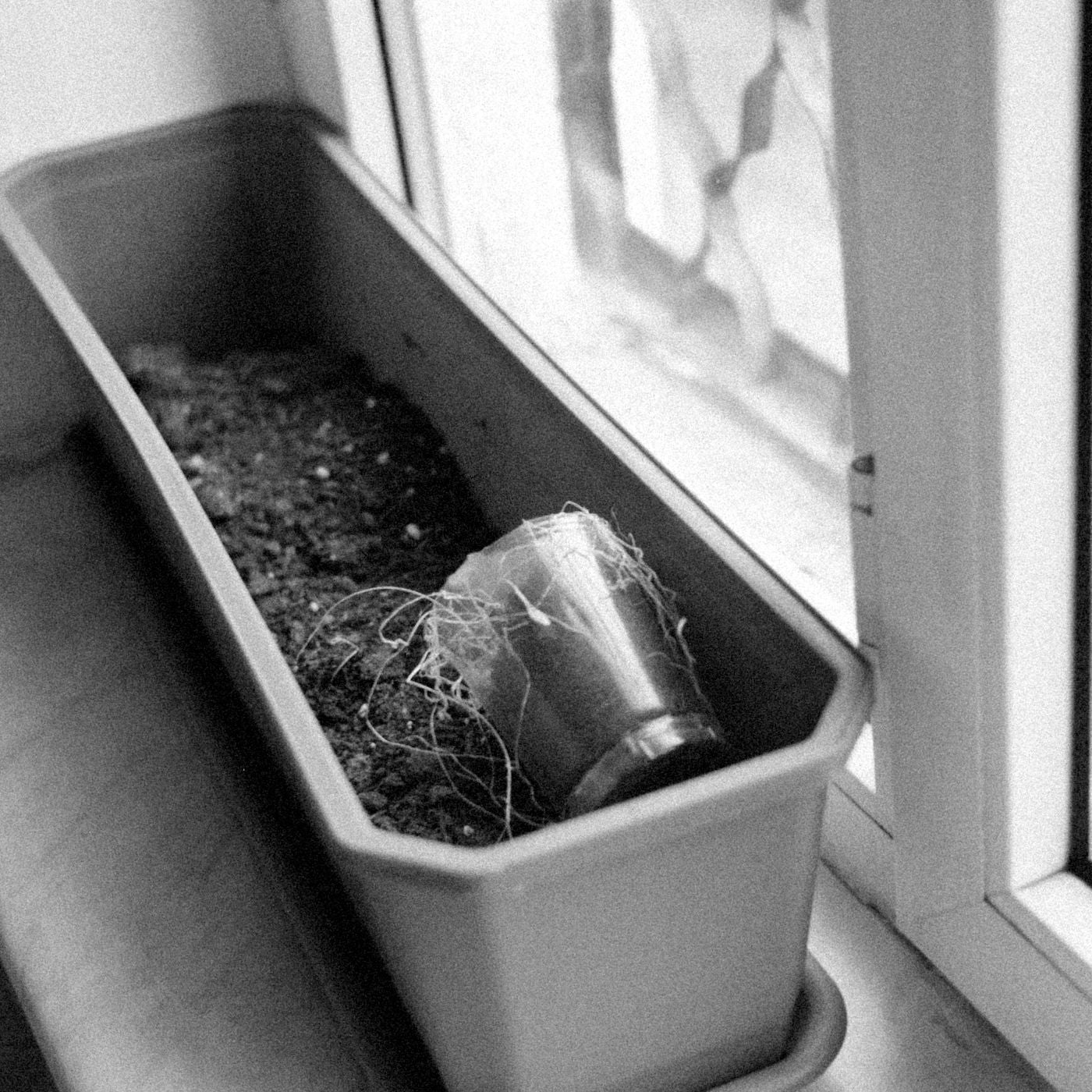 Constellation Hanging Planter